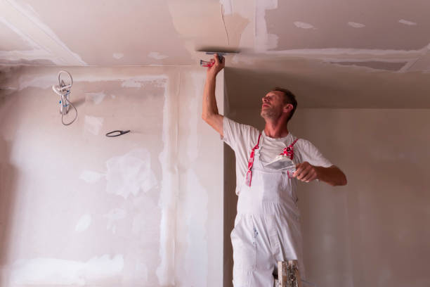 Best Fire-Damaged Drywall Repair  in Phoenix, OR